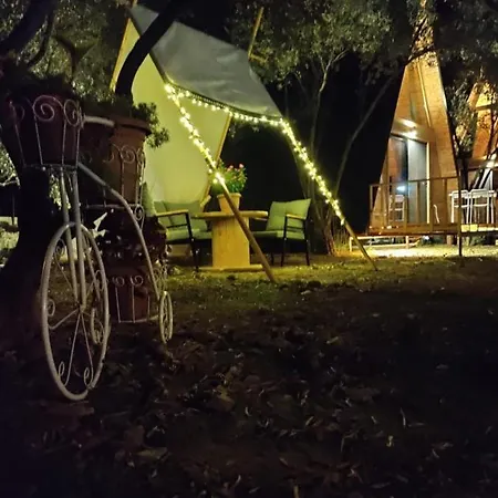 Bungalow Holiday home